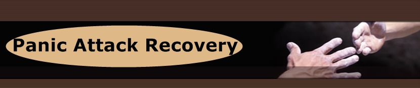 Panic Attack Recovery